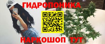 соль ск Дмитров