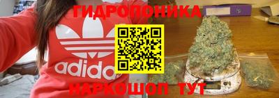 соль ск Дмитров