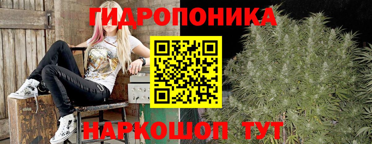 Каннабис Amnesia Губкин